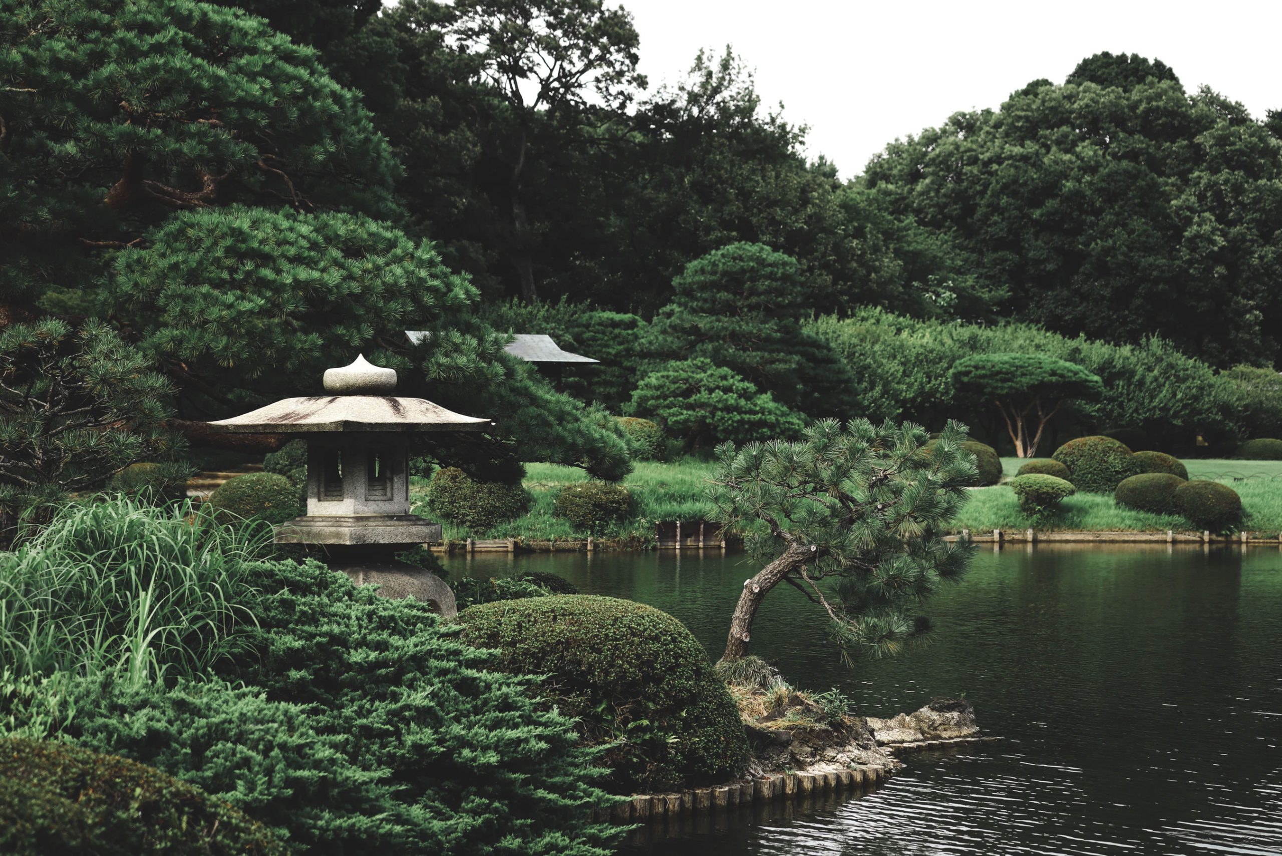 Zen Garden Trees landscaper-gallery-04